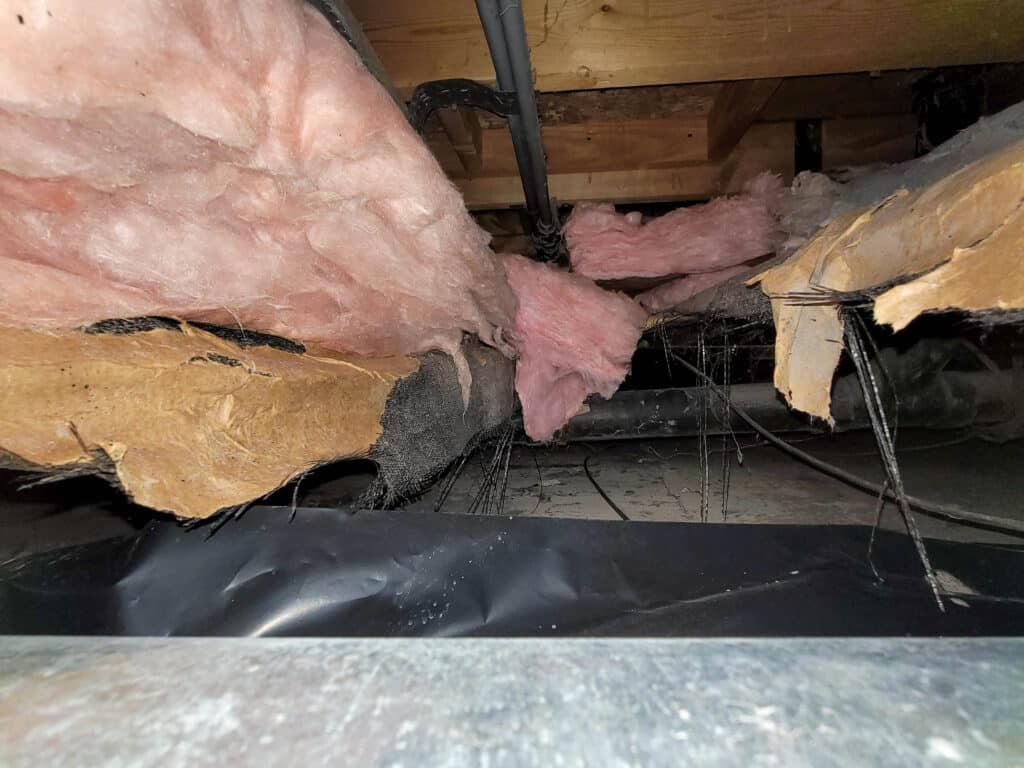 Ruined insulation in crawl space with water damage